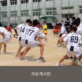 자유게시판